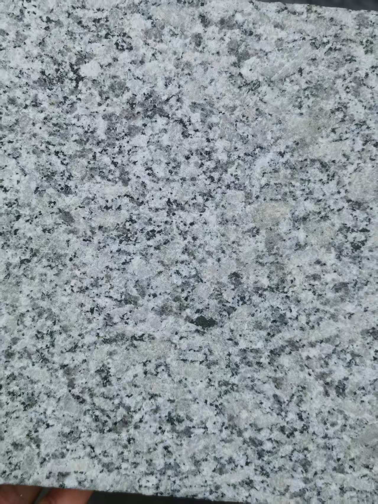 昌都 芙蓉白火烧面