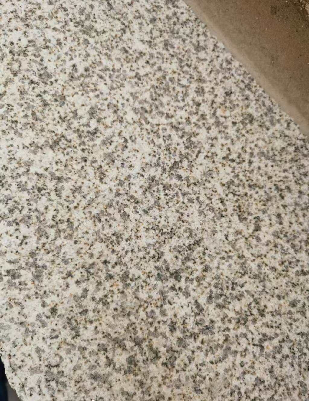 昌都 黄金麻中黄光面