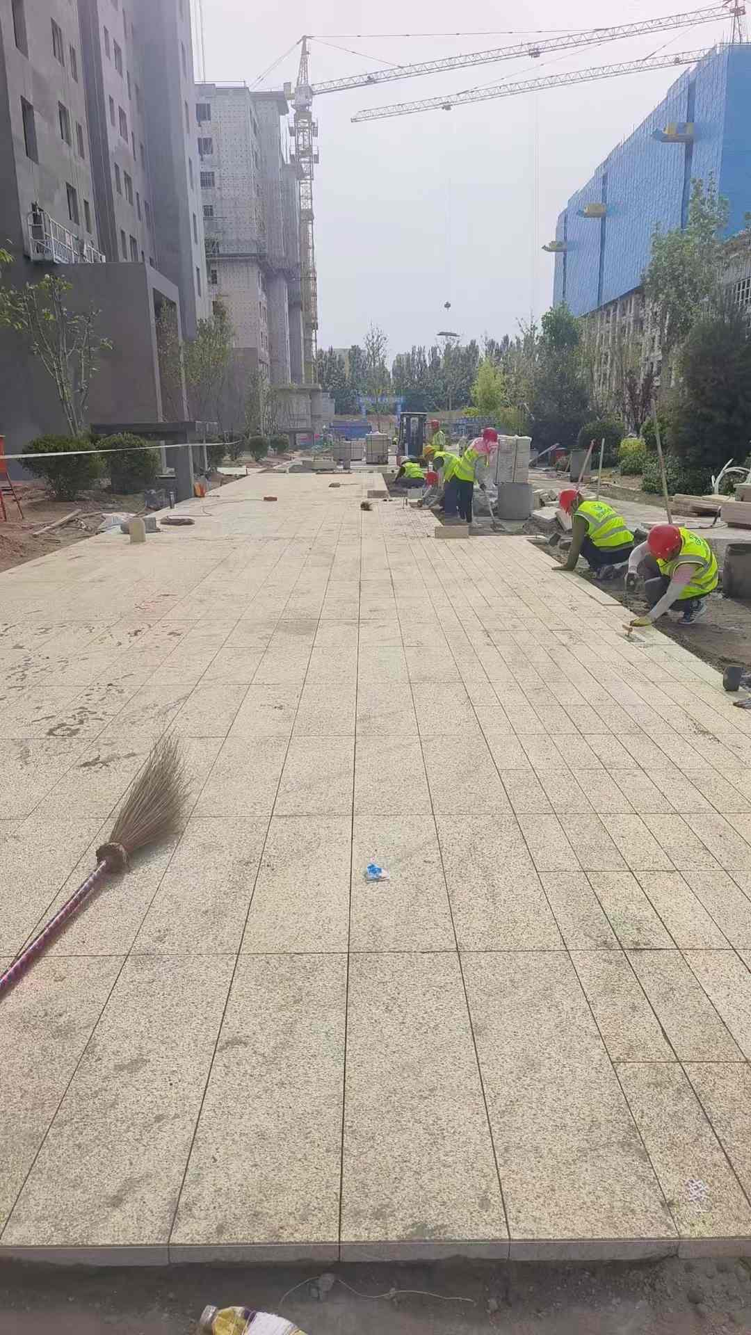 昌都黄金麻荔枝面地铺案例